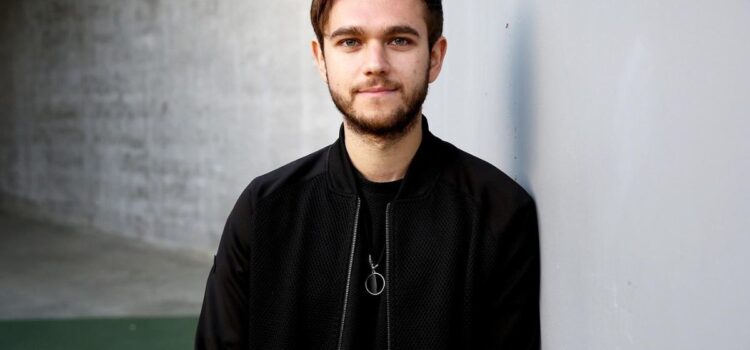 Zedd Net Worth