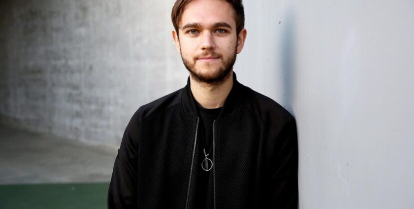 Zedd Net Worth