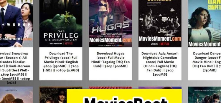 Moviesroot 2022 – Online HD Bollywood Hollywood Movies