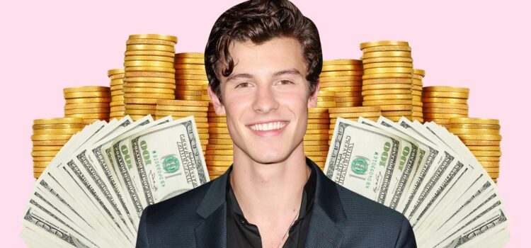 Shawn Mendes Net Worth