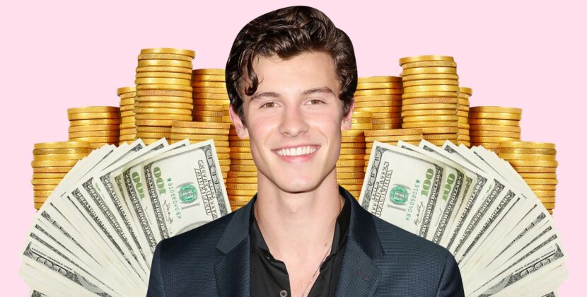 Shawn Mendes Net Worth